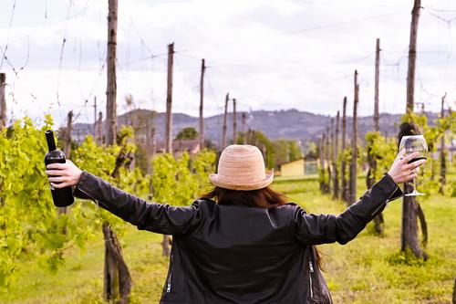 Frei sein, im Weinberg